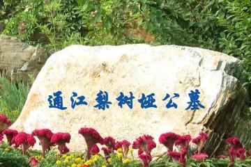 巴中通江梨树垭公墓